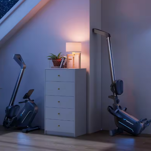 Elektromagnetische Roeimachine – 16 Niveaus & Verlengde Rail, Stil en Opvouwbaar