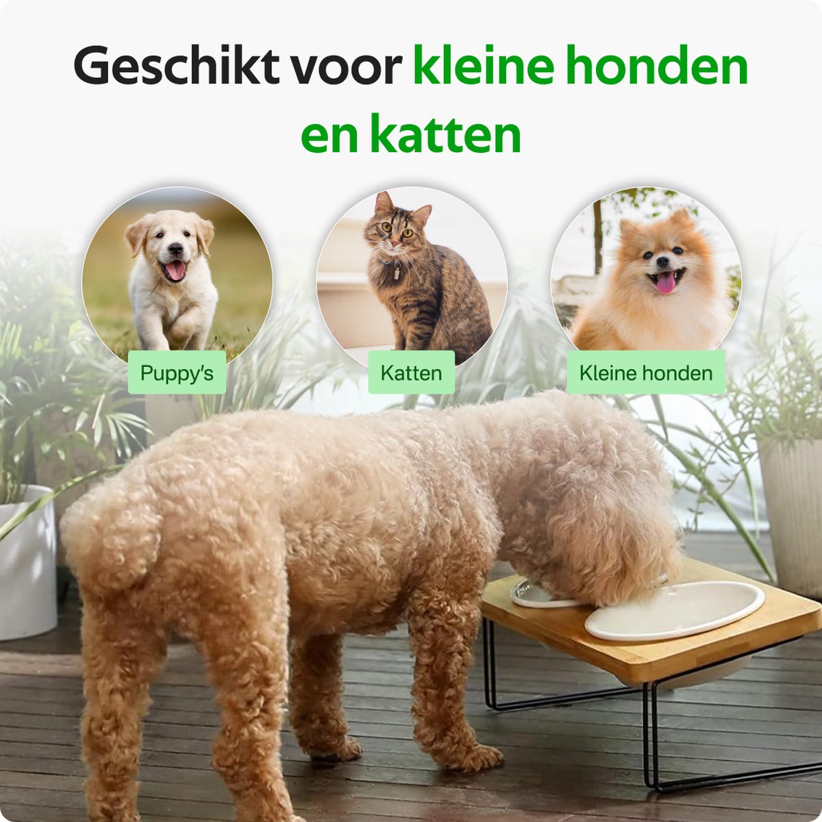 Pawsomepets® Verhoogde Kattenvoerbak - Bamboe Voerbak Hond - Met Standaard - Drinkbak Keramiek - 2x 350ml