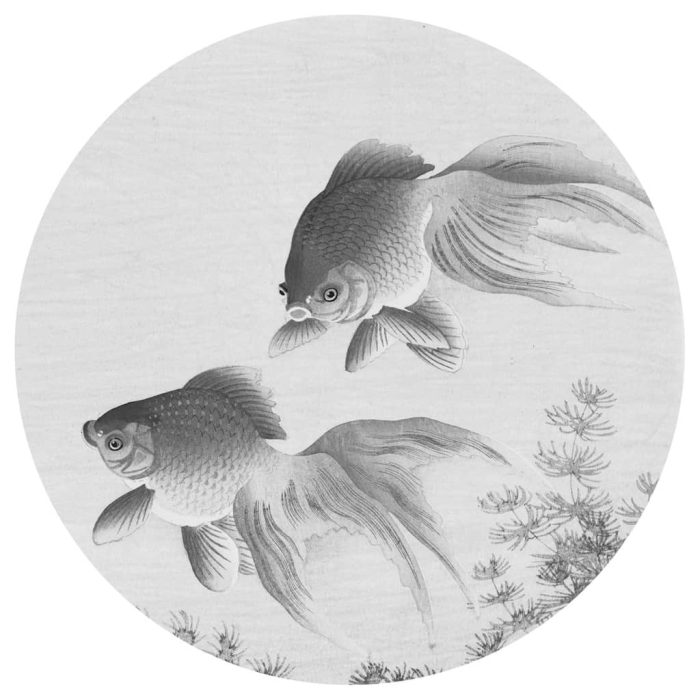 WallArt Behangcirkel Two Goldfish 142,5 cm