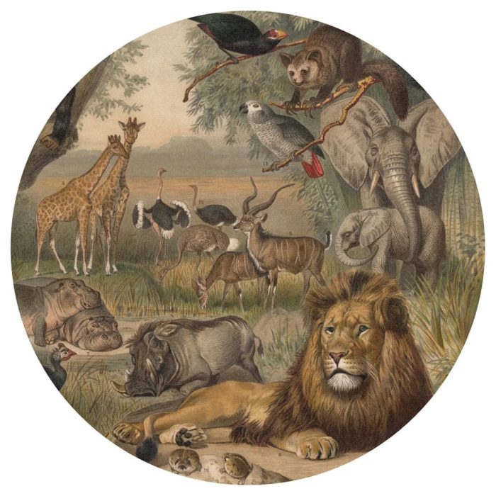 WallArt Behangcirkel Animals of Africa 142,5 cm