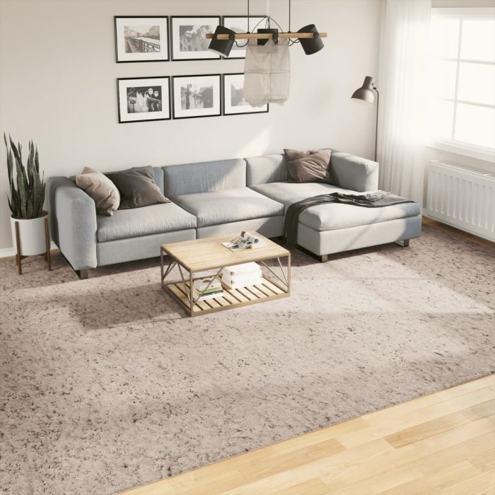 TrendyXL Vloerkleed PAMPLONA shaggy hoogpolig modern 300x400 cm beige