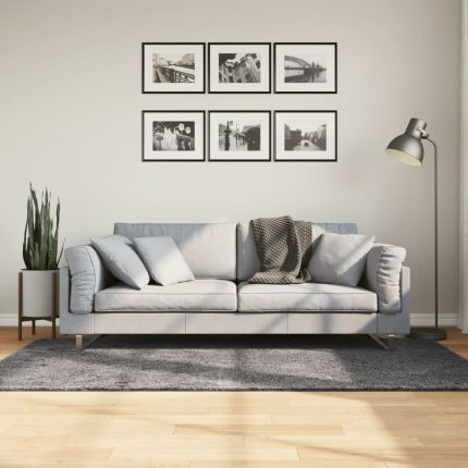 TrendyXL Vloerkleed HUARTE laagpolig zacht wasbaar 120x170 cm antraciet