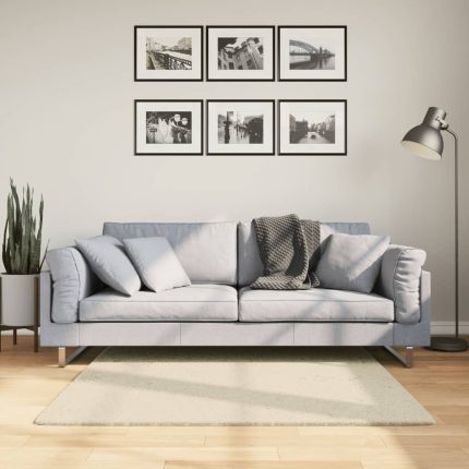 TrendyXL Vloerkleed HUARTE laagpolig zacht wasbaar 120x120 cm crème