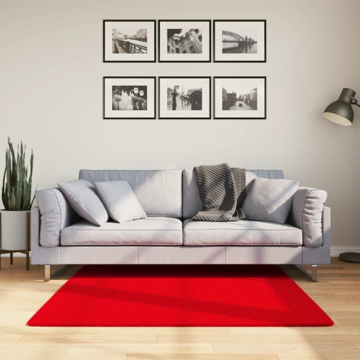 TrendyXL Vloerkleed HUARTE laagpolig zacht wasbaar 120x120 cm rood