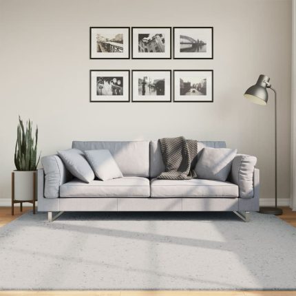 TrendyXL Vloerkleed HUARTE laagpolig zacht wasbaar 200x200 cm grijs