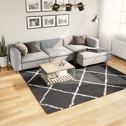 TrendyXL Vloerkleed shaggy hoogpolig modern 240x240 cm zwart en crème